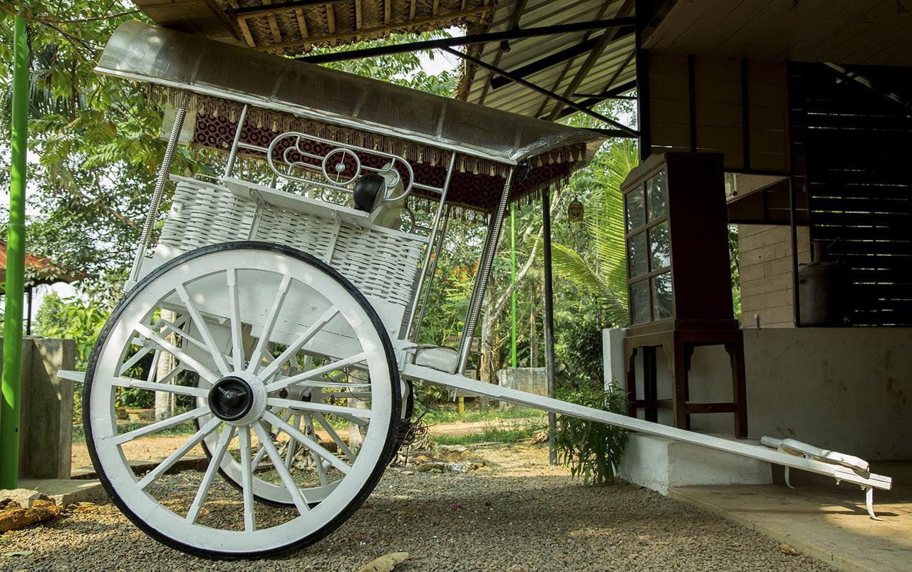 Mango Meadows Hotel Kottayam Exterior photo